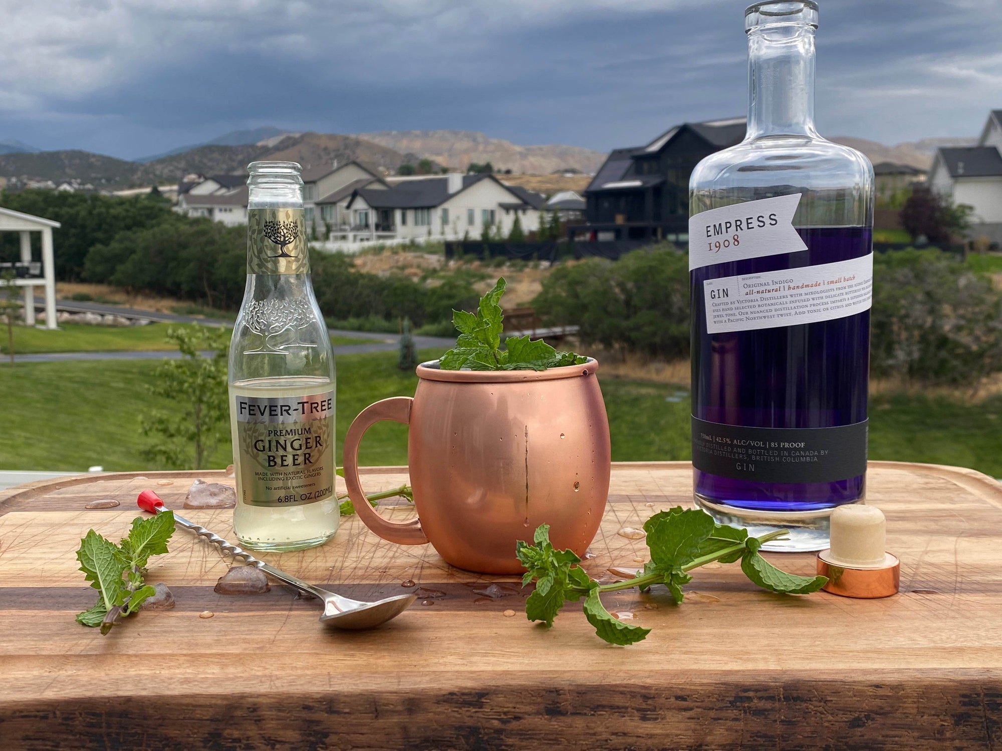 Purple Mule Cocktail/Mocktail for Hook’s Rub Thirsty Thursday - Hook's Rubs & Spices