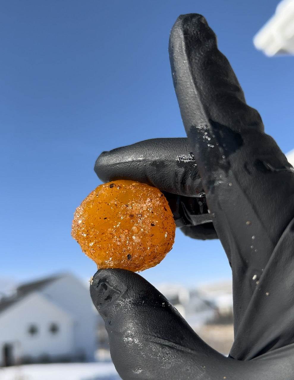 Cured Eggs - Hook's Rubs & Spices